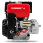 EBERTH 13 CV Motore a benzina con frizione a bagno d'olio, avviamento elettrico e albero da 22 mm